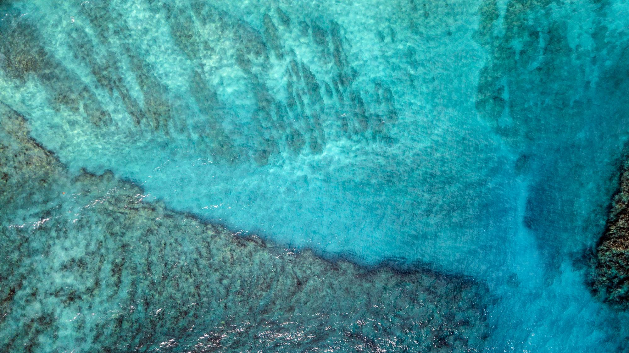 Цвета океана: коктейли с Gambini Blue Curacao