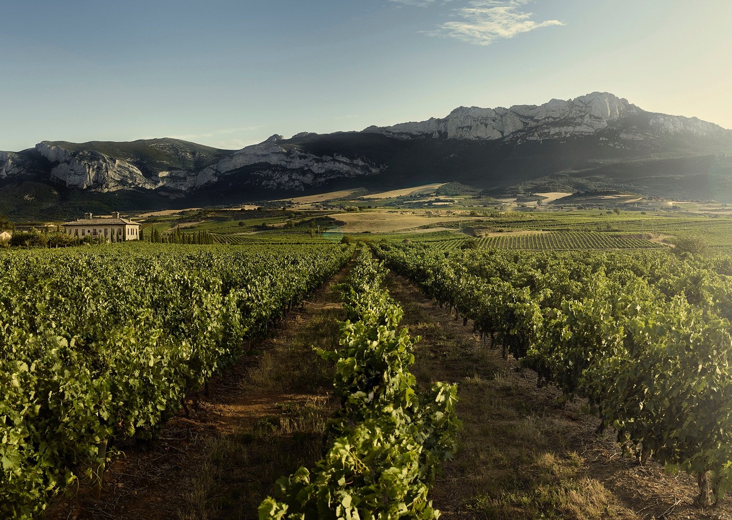 Вино с историей: La Rioja Alta и их Gran Reserva, ставшие легендарными