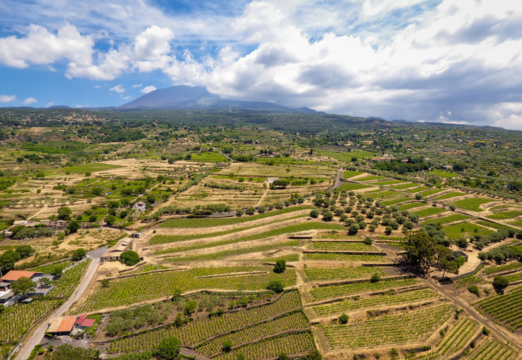 1.-Vineyards-in-Biancavilla-south-of-Etna.jpg