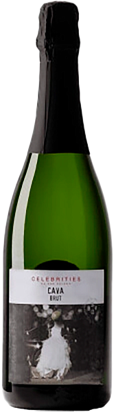 Celebrities Cava DO Brut Bodegas San Valero, 0.75 л в Ростове-на-Дону